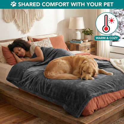 Dog Blanket Small Medium Pet Cat Puppy Kitten, 40X29 Mini Solid Gray