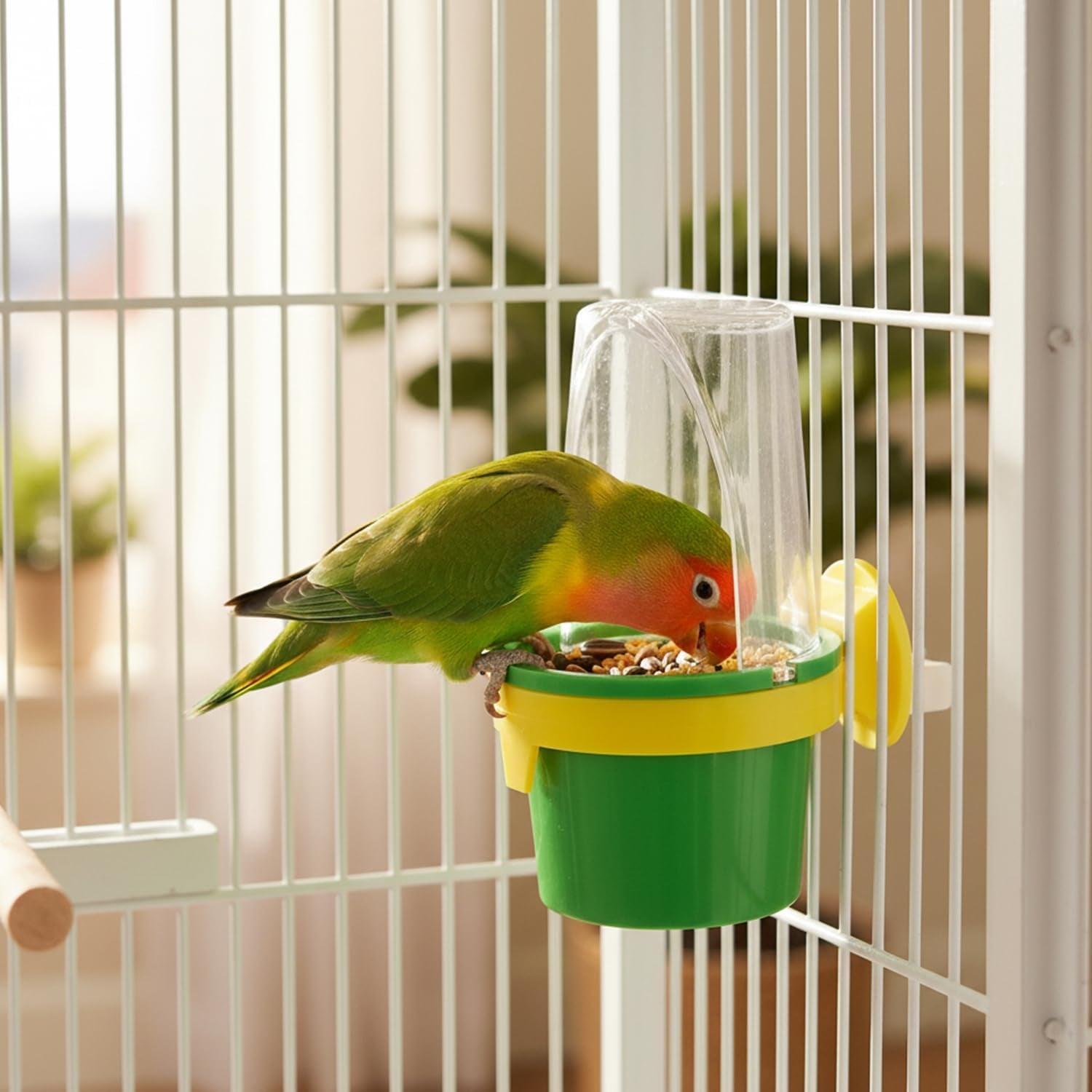 Pet Clean Cup Bird Cage Feeder and Water Cup, Medium, Assorted Colors