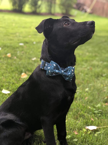 Dog Collar with Bow, Cotton & Webbing Boy Bow Dog Collar X-Large