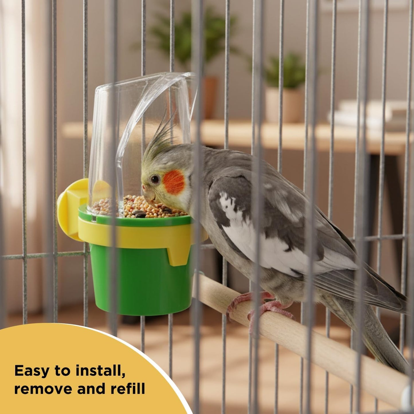 Pet Clean Cup Bird Cage Feeder and Water Cup, Medium, Assorted Colors